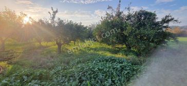 Tombul Emlaktan Aslanlı Mahallesinde Satılık Hobi Bahçesi