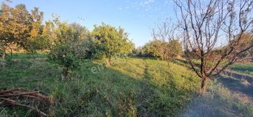 Tombul Emlaktan Aslanlı Mahallesinde Satılık Hobi Bahçesi