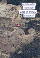 Na 176 Bilecik Söğüt Hamitabat Mah. 2.468m² Tarla Satılıktır