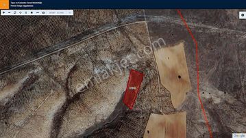 Başkan Emlaktan Satılık Söğüt Oluklu Köyünde 2.678 M2 Tarla.