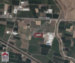 Era Port Güvencesiyle Yakupköy'de Satılık 6452 Metrekare Tarla