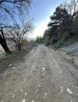 Hacı Yakup Paşalarda Doğa Harikası