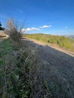 Hacı Yakup Paşalarda Doğa Harikası