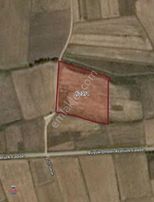 Tekirdağ Saray Çukuryurt Mahallesinde Satılık Tarla