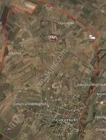 Tekirdağ Saray Çukuryurt Mahallesinde Satılık Tarla