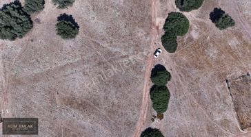 Bozsekinin En Güzel Arsası