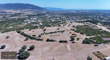 Bozsekinin En Güzel Arsası