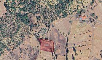 Kd 253.manisa Selendi Rahmanlarda 3.114 M² Tarlamız Satılıktır.