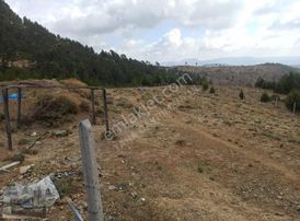 Mükemmel Konumlu Yaylalık 3540m2 Arazi Deniz Ve Mersin Manzaralı