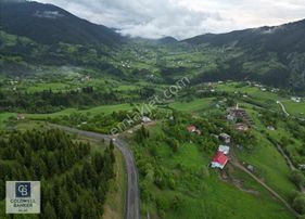 Coldwell Banker'dan Doga İle İçiçe Yeşillikler İçinde