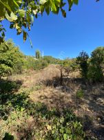 Sahibinden Suçatı Asfalt Yol Kenarı Arsa