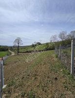 İzmit Nebihoca Köyünde Yollu İmarlı