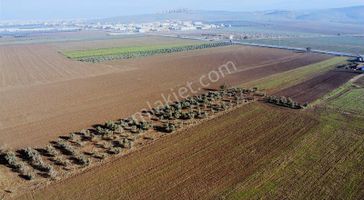 Akhisar Hürriyet Mah. Yatırımlık Arazi