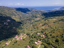 Ordu'da Plaja 7 Km Yemyeşil İmarlı Uygun Fiyatlı Son ''biarsa''