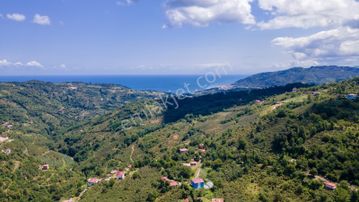 Ordu'da Plaja 7 Km Yemyeşil İmarlı Uygun Fiyatlı Son ''biarsa''