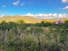 Ordu'da Yemyeşil 587 M² Köy İçi İmarlı Uygun Fiyatlı Son Arsa