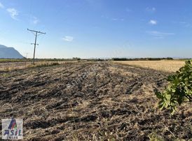 Satılık Tarla