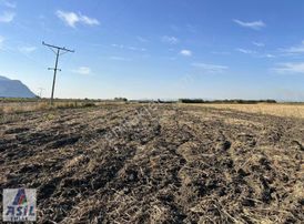 Satılık Tarla