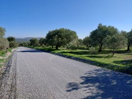 Sakarkaya Da Yola Cepheli 14.800 M2 Zeytinlik 5.250.000 Tl