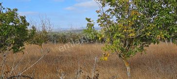 Ayverdi Emlak Dan Yola Cephe Hesaplı Arsa