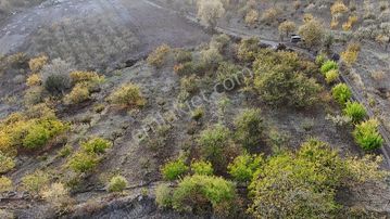 Realty Nexus'dan İznik Yörükler' De 20,117 M2 Meyve Bahçesi