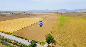 Foça Gerenköy'de Satılık 10 Dönüm Tarla