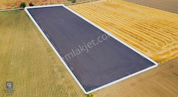 Foça Gerenköy'de Satılık 10 Dönüm Tarla