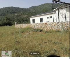 Yeşil Üzümlü Satılık Tarla