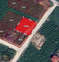 Çakırlar'da Doğa Harikası Terkler Yapılmış Satılık 1.159 M2 Arsa