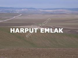 Keloğlan Mevkisinde 8.304m2 Müstakil Tek Tapulu Tarla