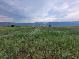 Korkuteli Yakaköy'de Acilsatılık 4600m2 Tarla Elektrik Su İçinde