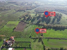 Elite Gd & Düzce'de Doğa İçerisinde Satılık Arsa