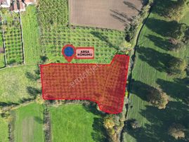 Elite Gd & Düzce'de Doğa İçerisinde Satılık Arsa