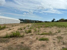 Dolbazlarda Satılık Köşe Parsel Tarla