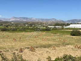 Dolbazlarda Satılık 4.5 Dönüm Düz Arazi