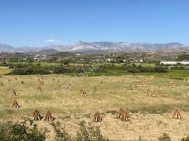 Dolbazlarda Satılık 4.5 Dönüm Düz Arazi