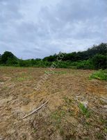 Yg'den Fatsa Dolunay Sınırında 9449 M2 10kat İmar Emsal 2