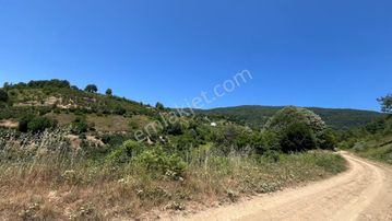 Sakarya-hendek-muradiyede Satılık 42.100m2 Tarla.