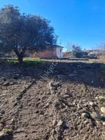 Aydın Nazilli Yöntem Emlaktan Kuyucak Karapınar Mahallede Satılık Arsa