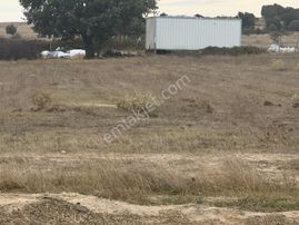 Osmanlı Emlk'tan Küçük Yonca'da Kupon Tek Tarla