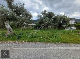 Didim Akbükte 1000m2 Satılık Arsa