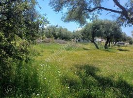 Didim Akbük Merkezde Satılık 401 M2 Arsa