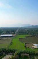 Kevser Alak’tan Germencik Karaağaçlı’da Satılık Arsalar