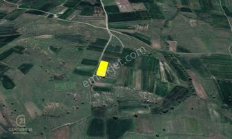 C21 Bal'dan Karakol Mah.de 2595 M2 Satılık Tarla