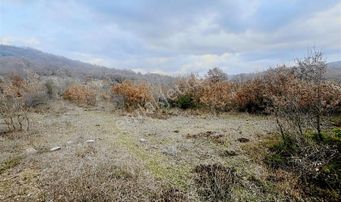 Century21 Bal' Dan İvrindi Kayapa' Da 7034 M2 Satılık Tarla