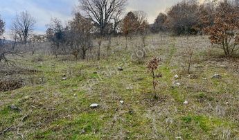 Century21 Bal' Dan İvrindi Kayapa' Da 7034 M2 Satılık Tarla