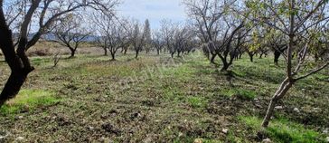 Balıkesir, Savaştepe, İstiklal Satılık Tarla C21bal Ofis