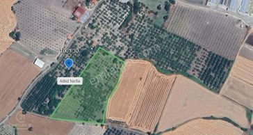 Balıkesir, Savaştepe, İstiklal Satılık Tarla C21bal Ofis