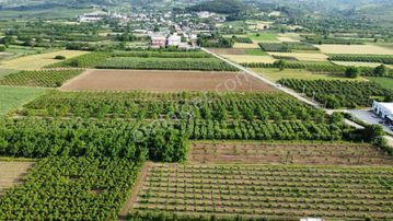 Ulucan Dan İnegöl Deydinler'de Satılık Tarla