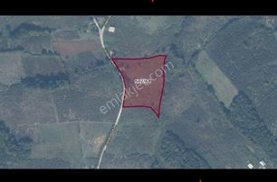 Kaynarca Arif Ağa Mahallesinde 1800 M² Köy İmarlı Arsa